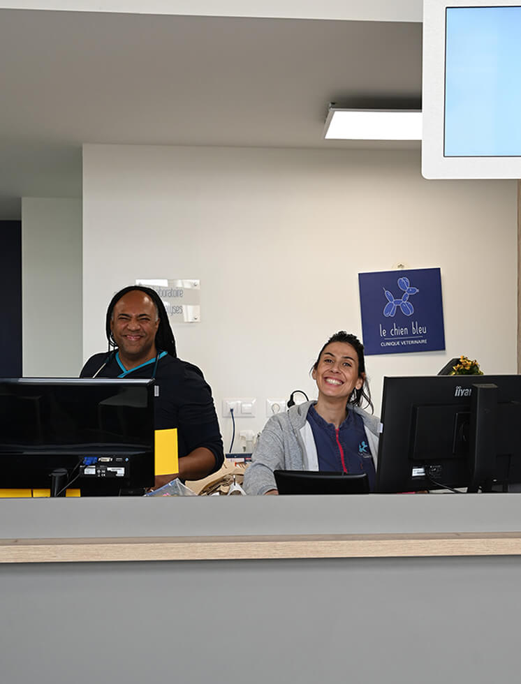 CB-Contact-1 Accueil clinique vétérinaire