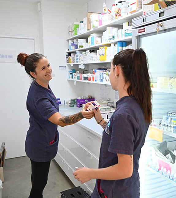 CB-Contact-2 Assistantes vétérinaires spécialisées de la clinique du Chien Bleu