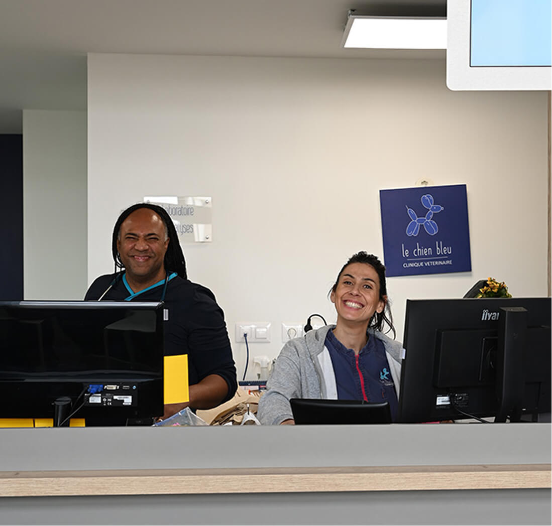 équipe vétérinaire chien bleu