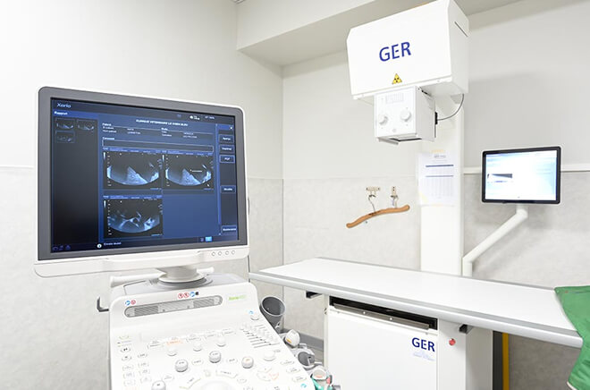 Imagerie vétérinaire