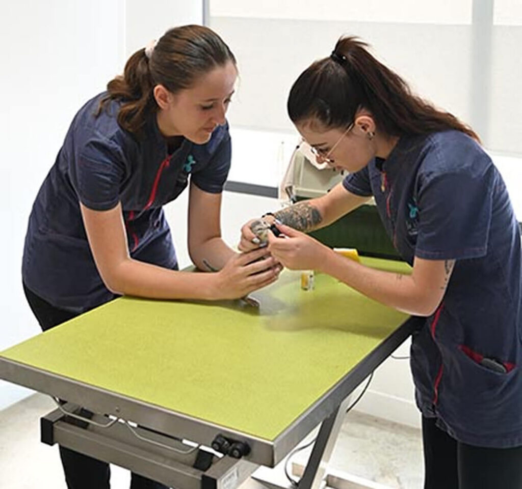 rendez-vous vétérinaire Cotignac, rendez-vous vétérinaire Cannet-des-Maures