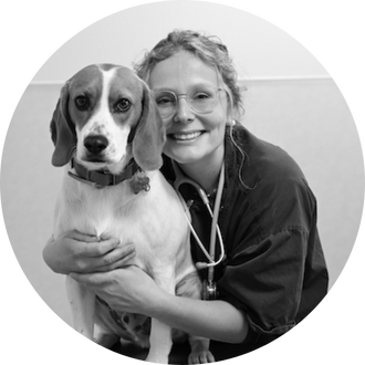 Dr Héloïse Dumarey